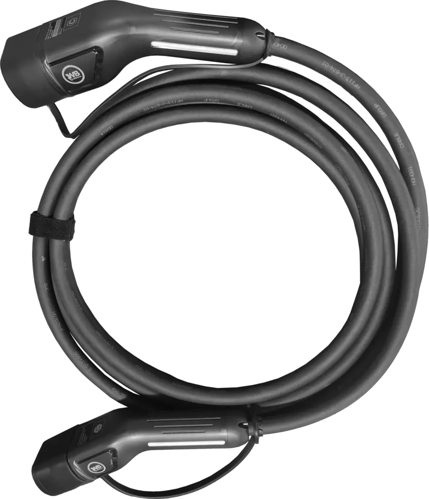 Wellborne Câble de charge AC